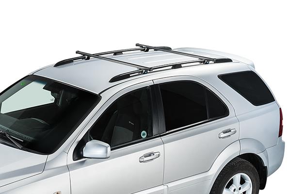 Barre Di Tetto Trasversali Alluminio Citroen Berlingo Ii 2008+ (Con Binari, Coppia)